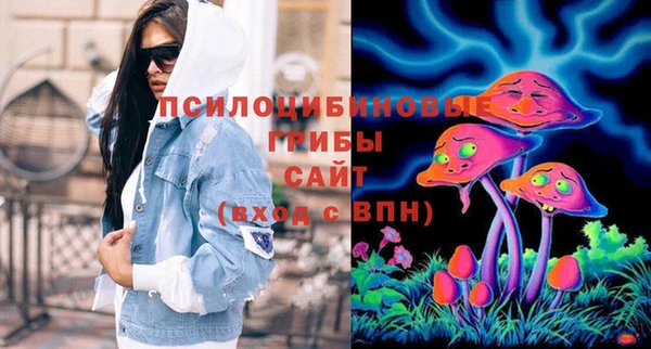гашик Новозыбков