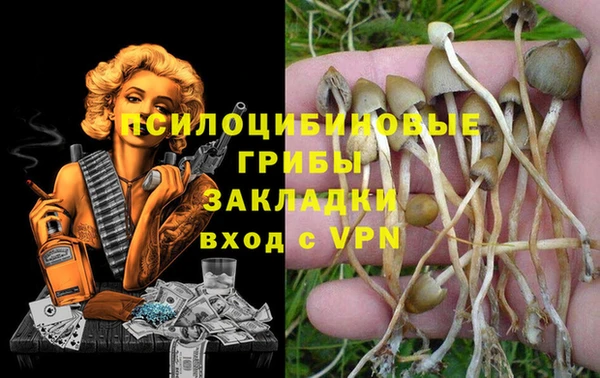 гашик Новозыбков