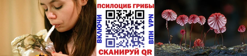Купить  Навашино  Галлюциногенные грибы MAGIC MUSHROOMS 